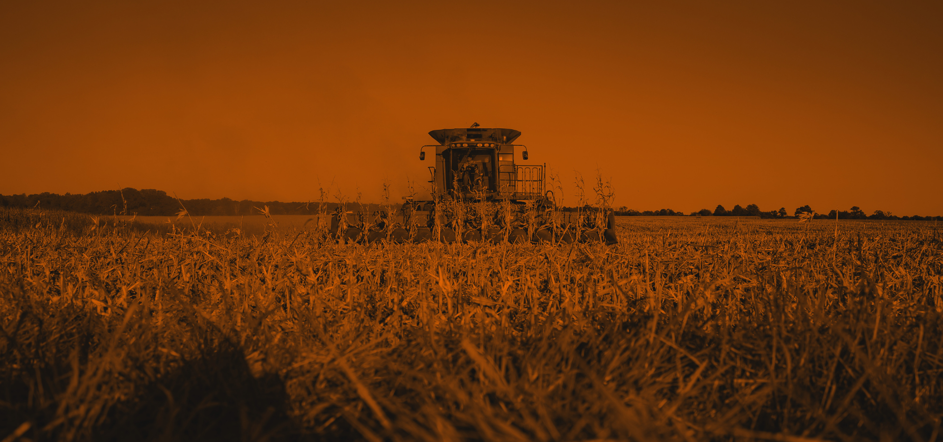 Design sem nome (36)